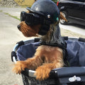 Casco y gafas de moto para perros