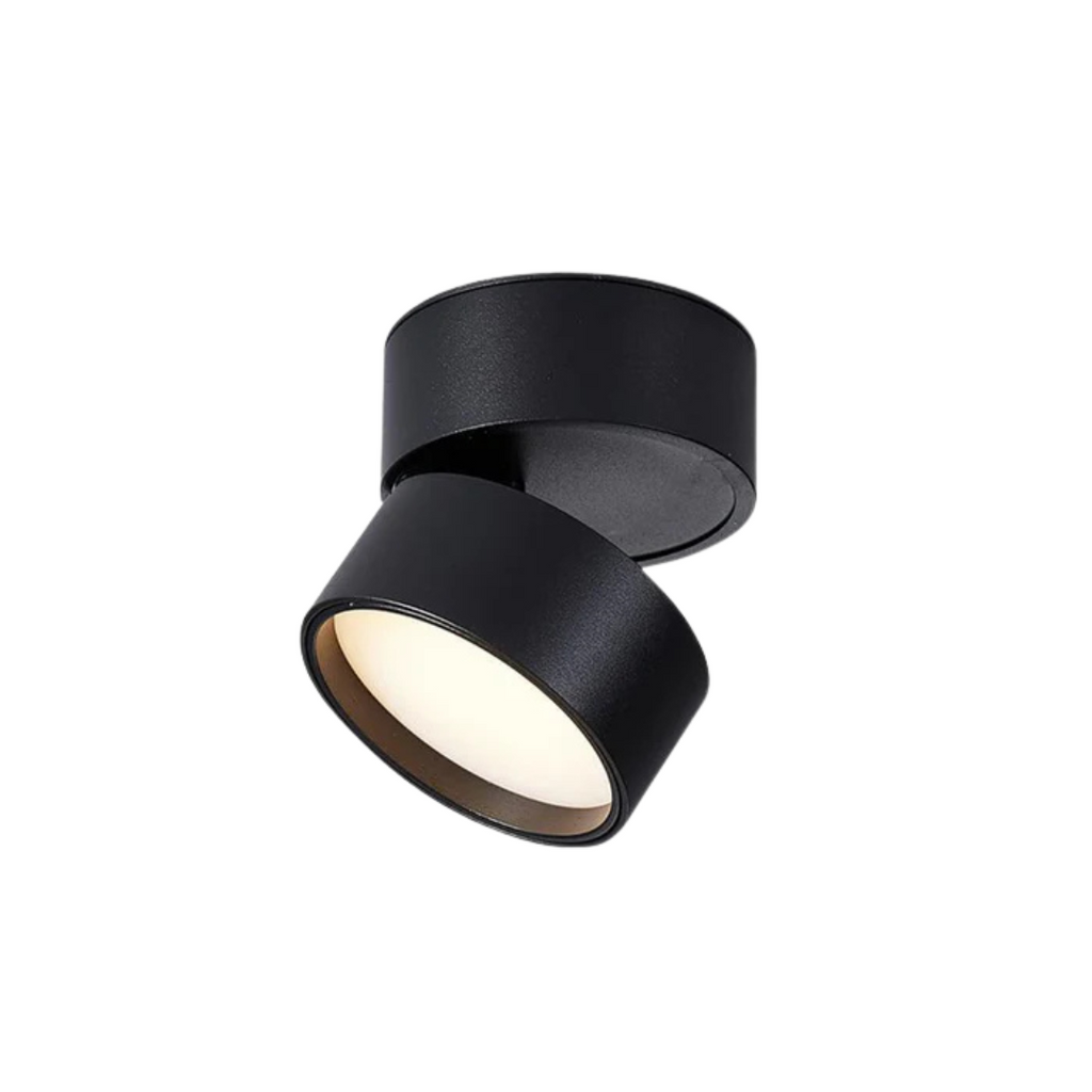 Lámpara de techo LED moderna ajustable de 1 luz
