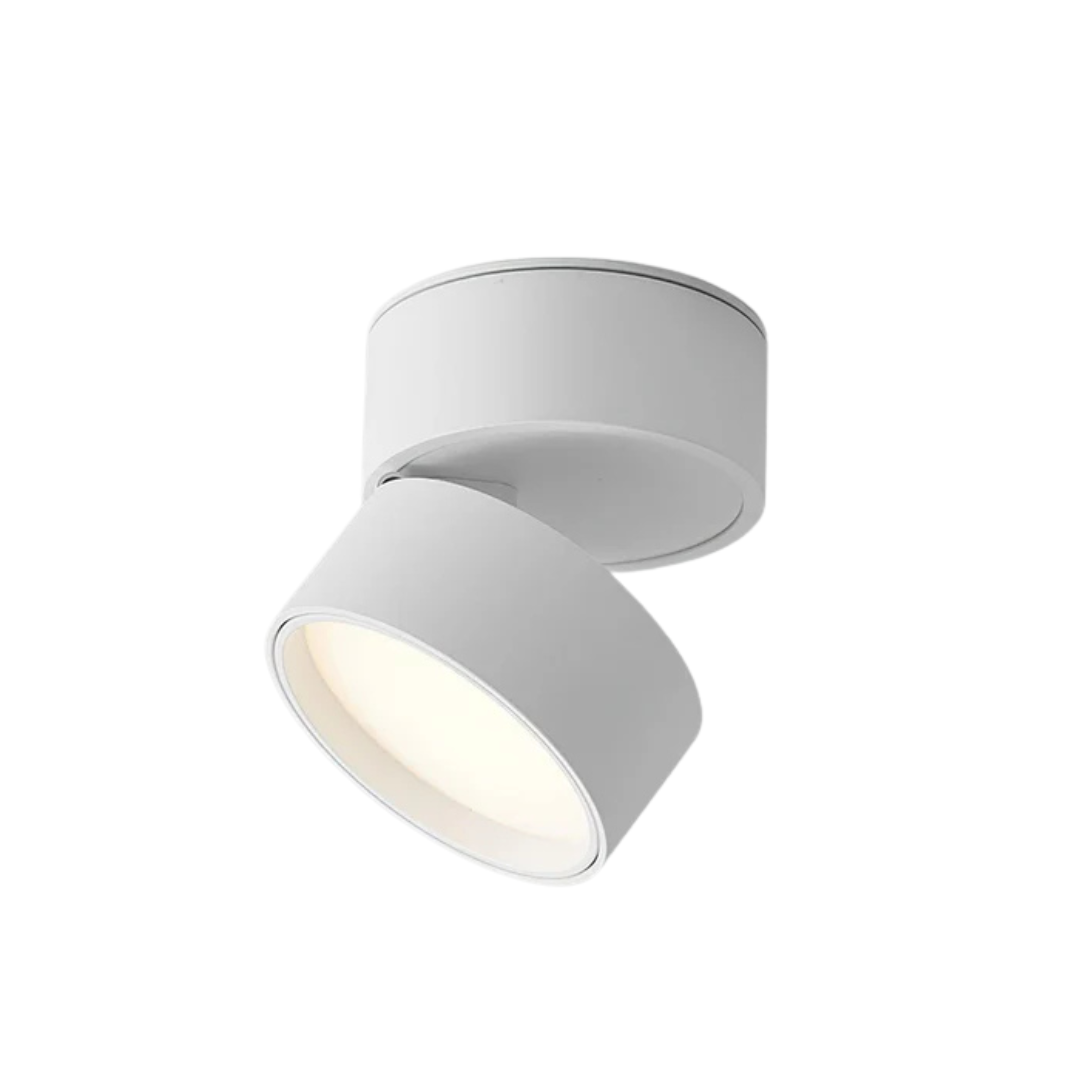 Lámpara de techo LED moderna ajustable de 1 luz