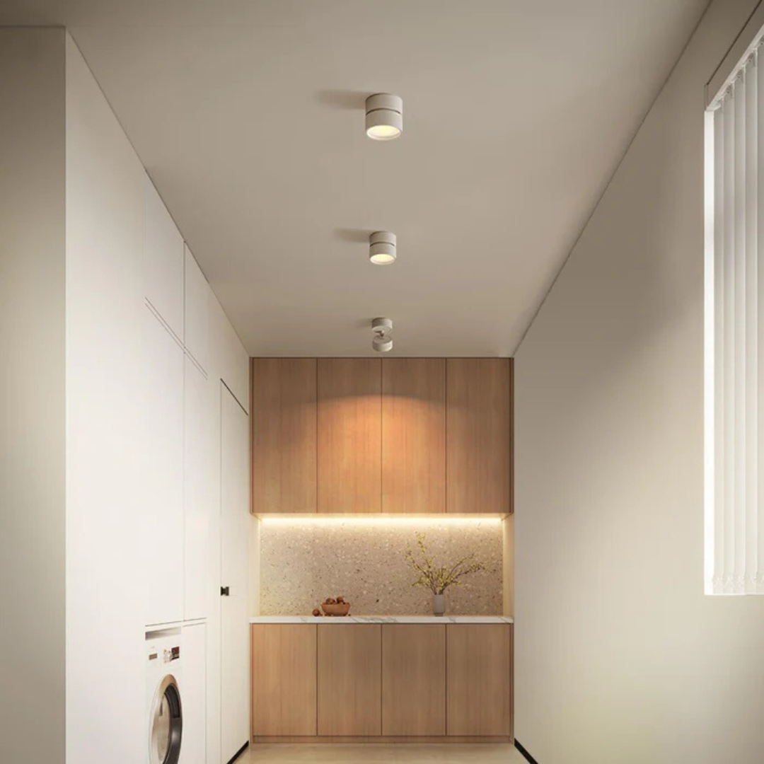 Lámpara de techo LED moderna ajustable de 1 luz