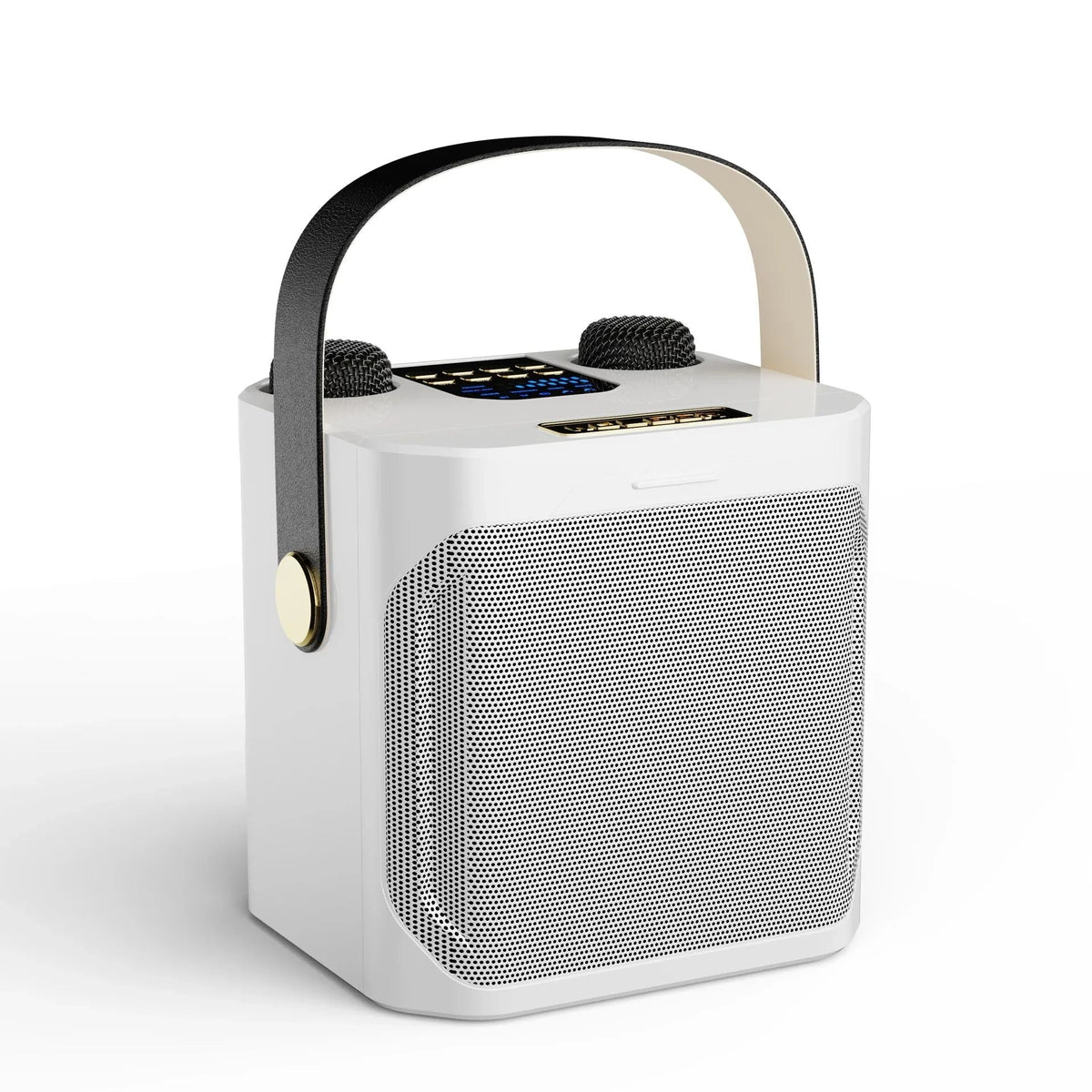 Karaoke Bluetooth Luidspreker con 2 micrófonos 360° Stereo Surround