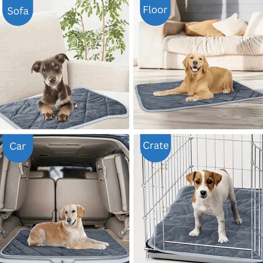Almohadilla autocalentable para perros ToastyPaws