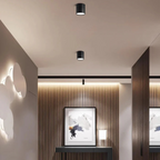 Lámpara de techo LED moderna ajustable de 1 luz