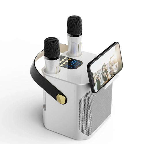 Karaoke Bluetooth Luidspreker con 2 micrófonos 360° Stereo Surround