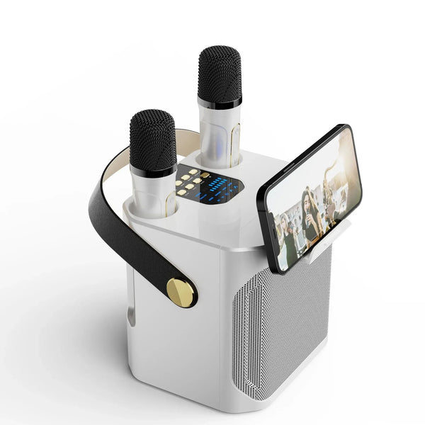 Karaoke Bluetooth Luidspreker con 2 micrófonos 360° Stereo Surround