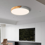 Lámpara de techo LED elegante de estilo escandinavo
