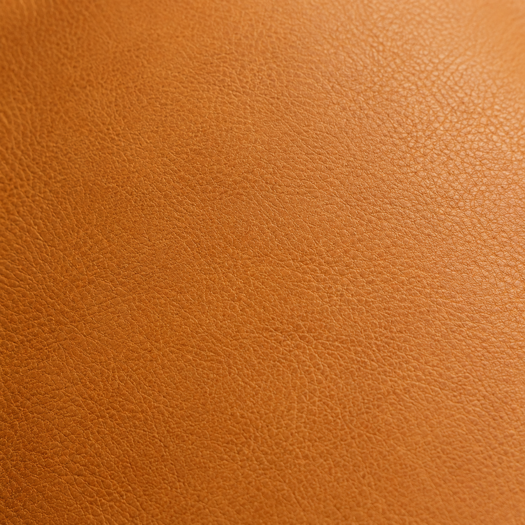 Cartera marrón de cuero en fondo blanco