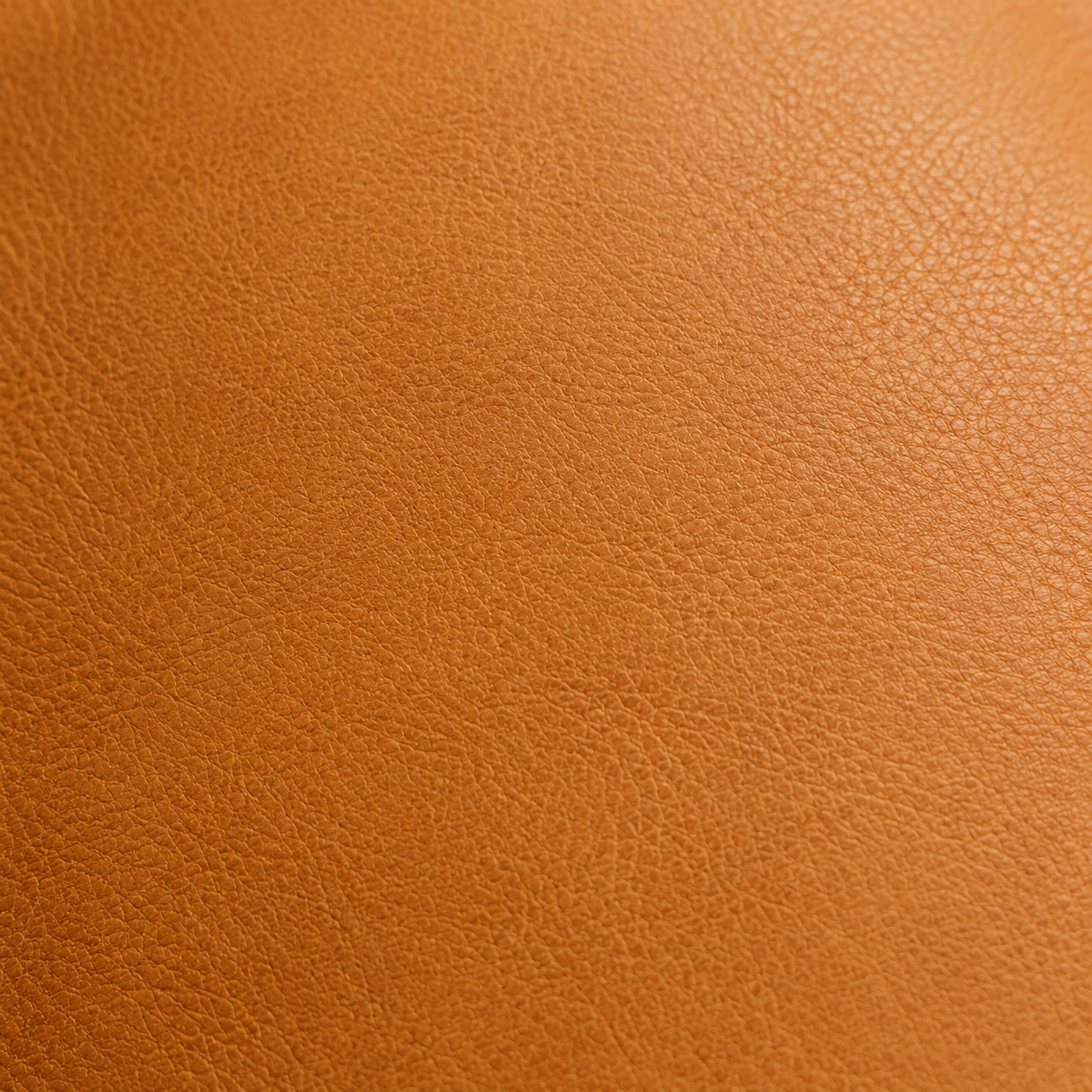 Cartera marrón de cuero en fondo blanco