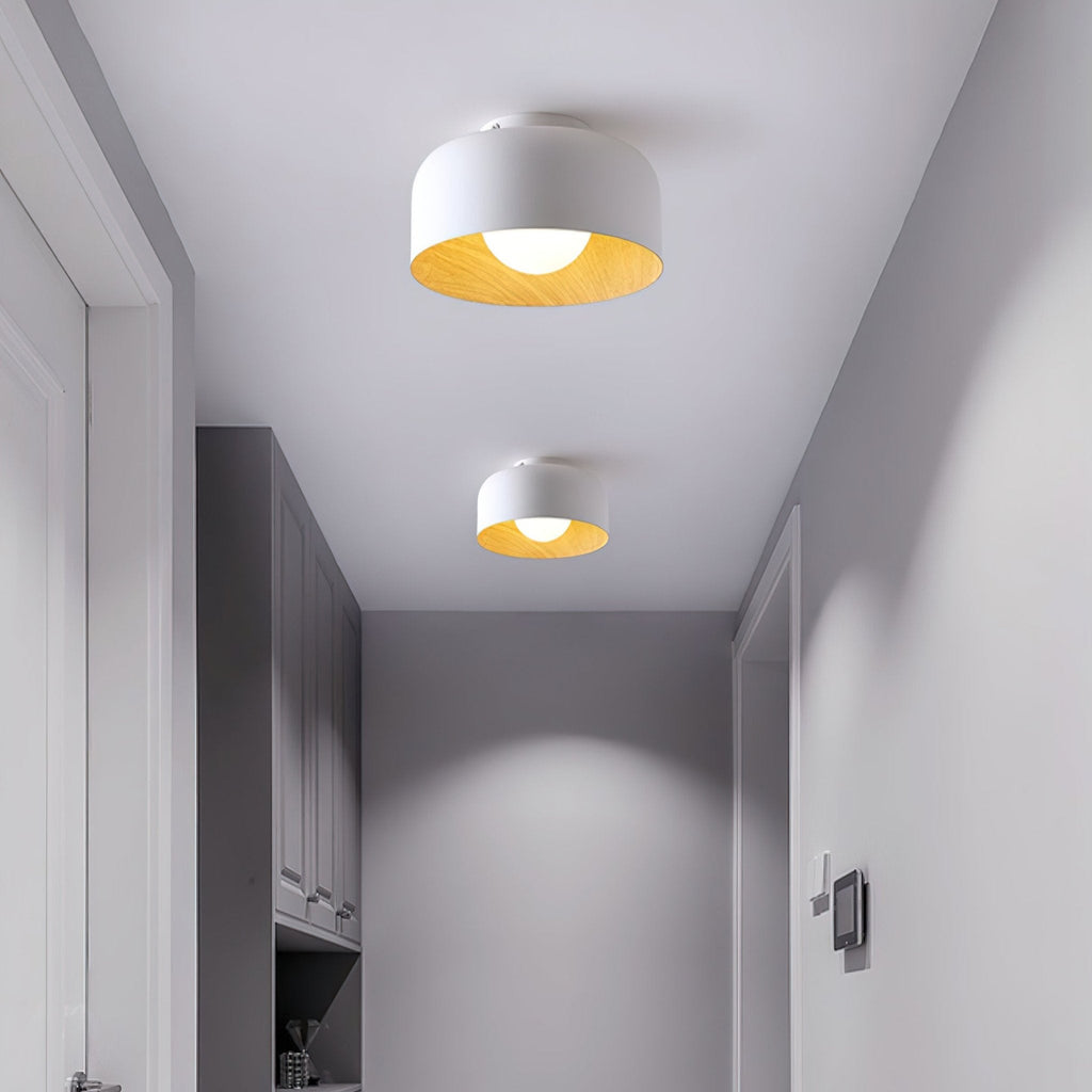Lámpara de techo redonda con interior Houtnerf Glazen Bol ∅22 cm para Hal Keuken Slaapkamer Wandmontage G9 Accesorio