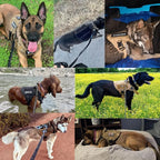 Arnés táctico para perro de grado militar con sistema de liberación rápida