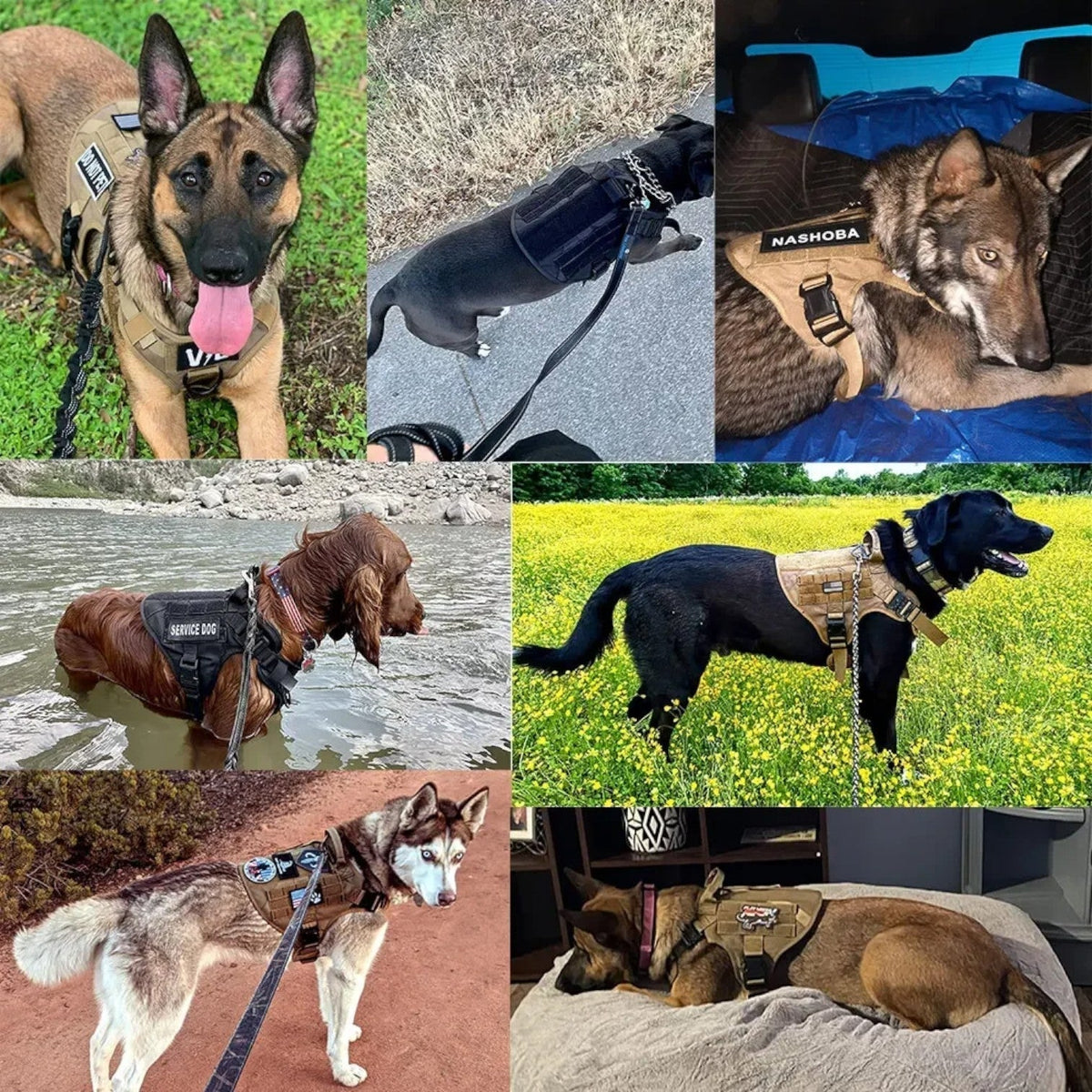 Arnés táctico para perro de grado militar con sistema de liberación rápida