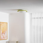 Lámpara de techo Resina Ovalada Verde Beige Woonkamer Slaapkamer LED 3000K 4000K 6000K Ø36 Ø46cm Organisch Plafonnière Dimbaar