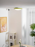 Lámpara de techo Resina Ovalada Verde Beige Woonkamer Slaapkamer LED 3000K 4000K 6000K Ø36 Ø46cm Organisch Plafonnière Dimbaar