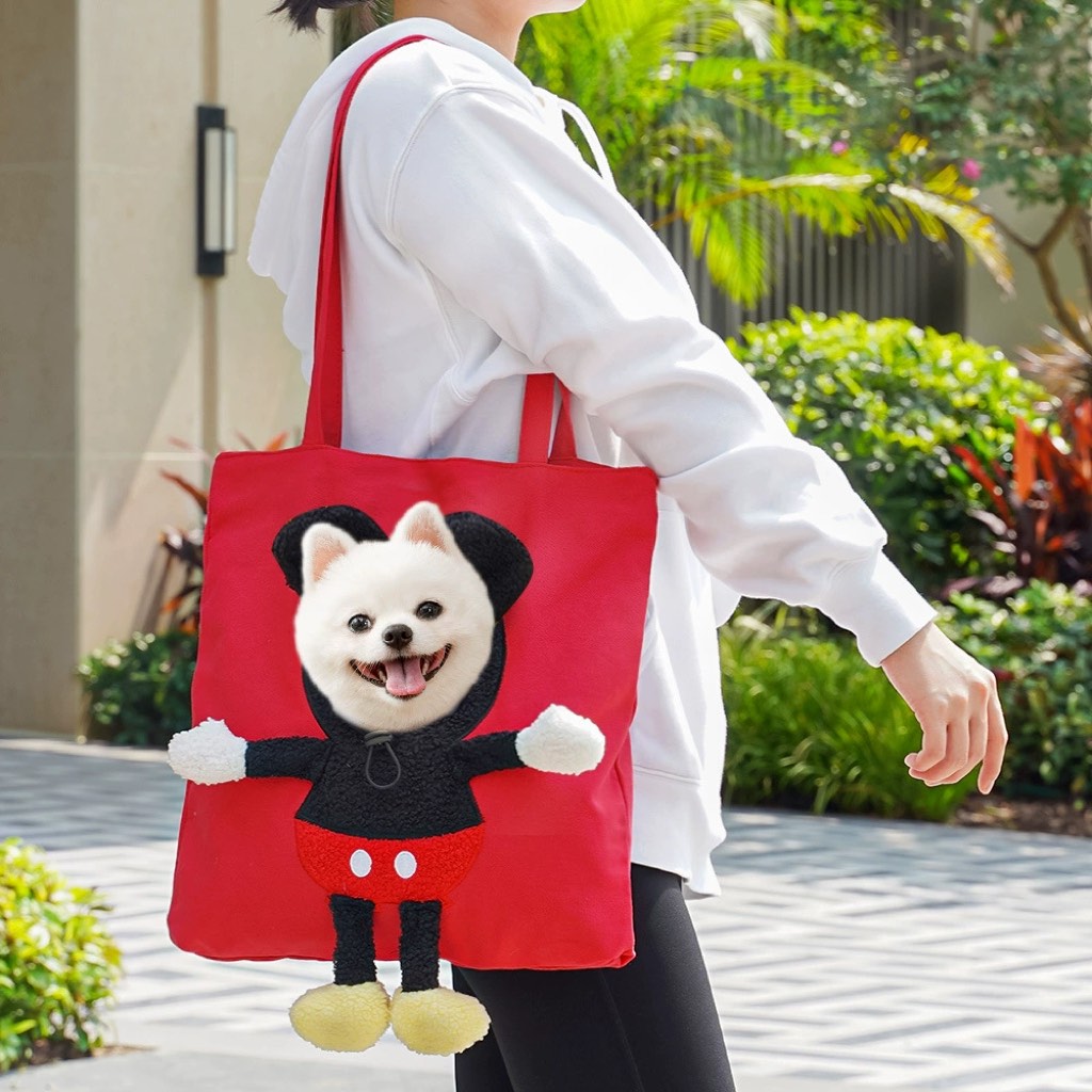 Bolso transportín para gatos con la cabeza al exterior para paseos y visitas al veterinario - Bolsa ligera de lona para 