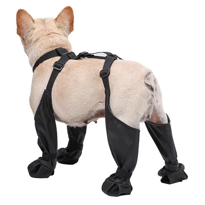 Botas ajustables antideslizantes para perros con protección para todo tipo de clima
