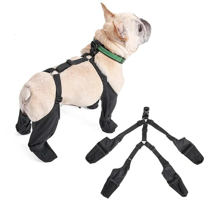 Botas ajustables antideslizantes para perros con protección para todo tipo de clima