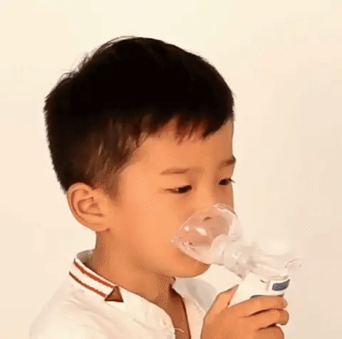 BreezeNova Nebulizador Ultrasónico Portátil con Batería Recargable para Casa o Viaje