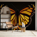 Papel pintado mural de mariposas | Alas de mariposa monarca en luz dorada