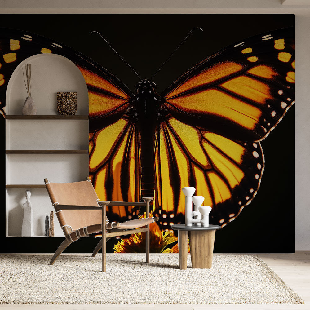 Papel pintado mural de mariposas | Alas de mariposa monarca en luz dorada