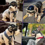 Casco para perro con gafas para protección ocular