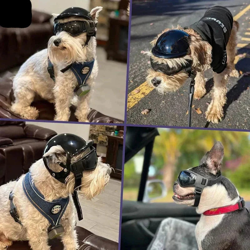 Casco para perro con gafas para protección ocular