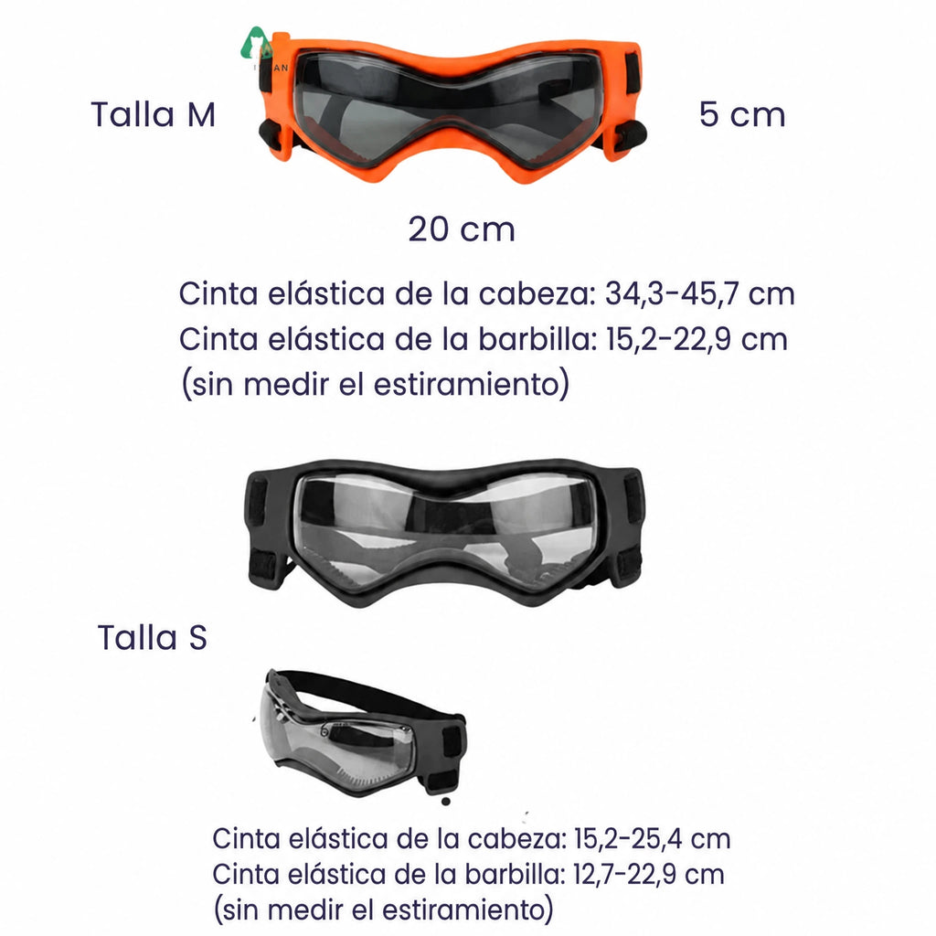 Casco para perro con gafas para protección ocular