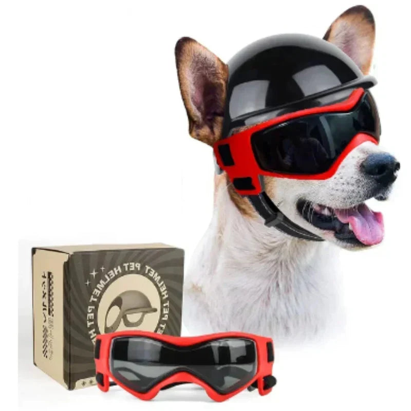 Casco para perro con gafas para protección ocular