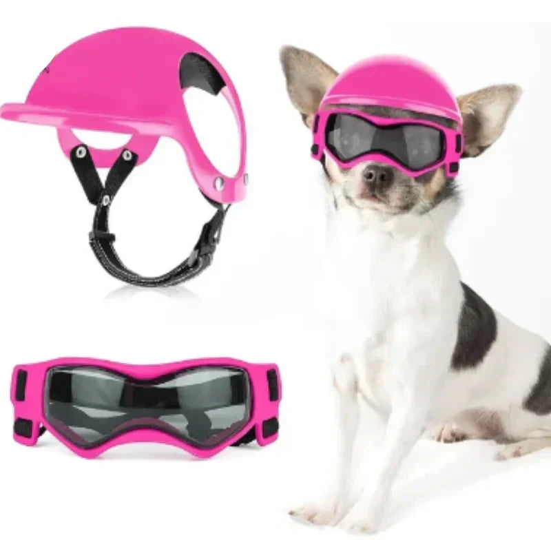 Casco para perro con gafas para protección ocular