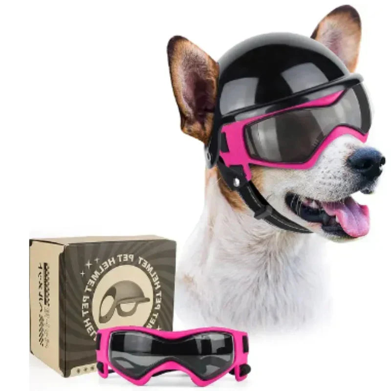 Casco para perro con gafas para protección ocular