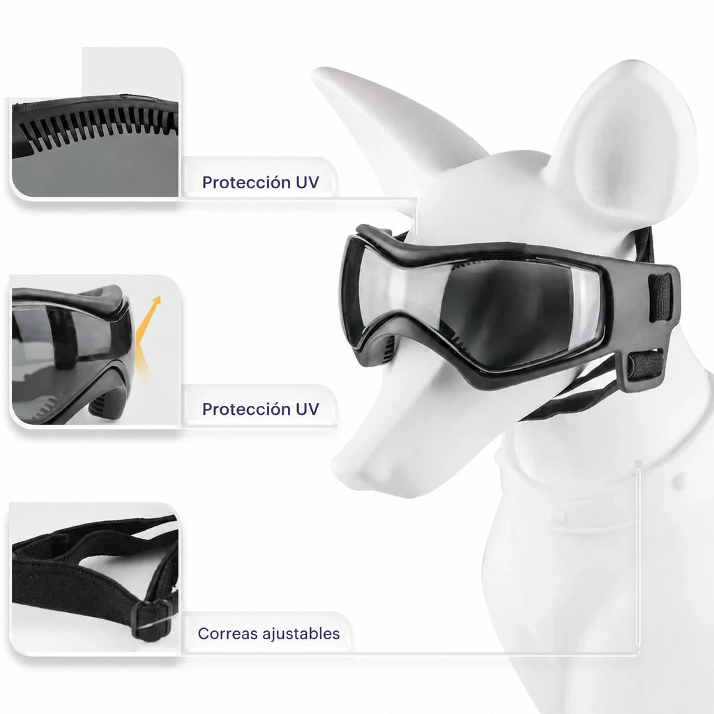 Casco para perro con gafas para protección ocular
