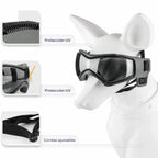 Casco para perro con gafas para protección ocular