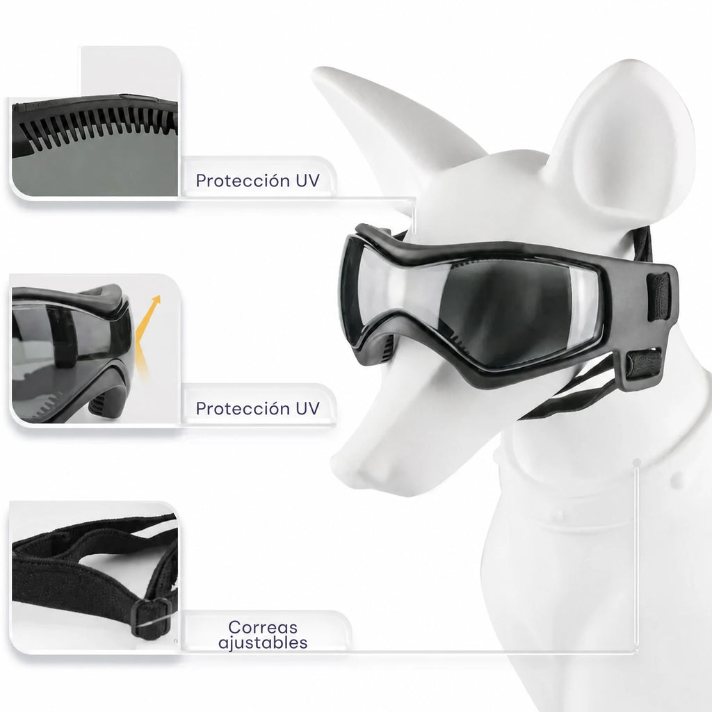 Casco para perro con gafas para protección ocular
