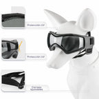 Casco para perro con gafas para protección ocular