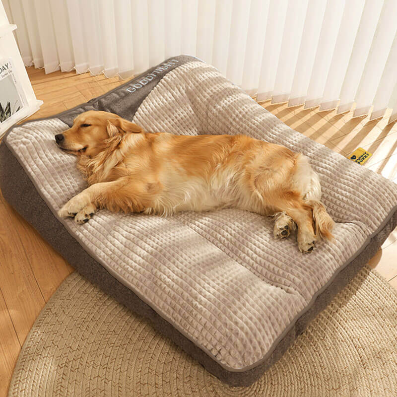 Cojín ortopédico para perro grande – Cama de lujo de espuma viscoelástica con reposacabezas