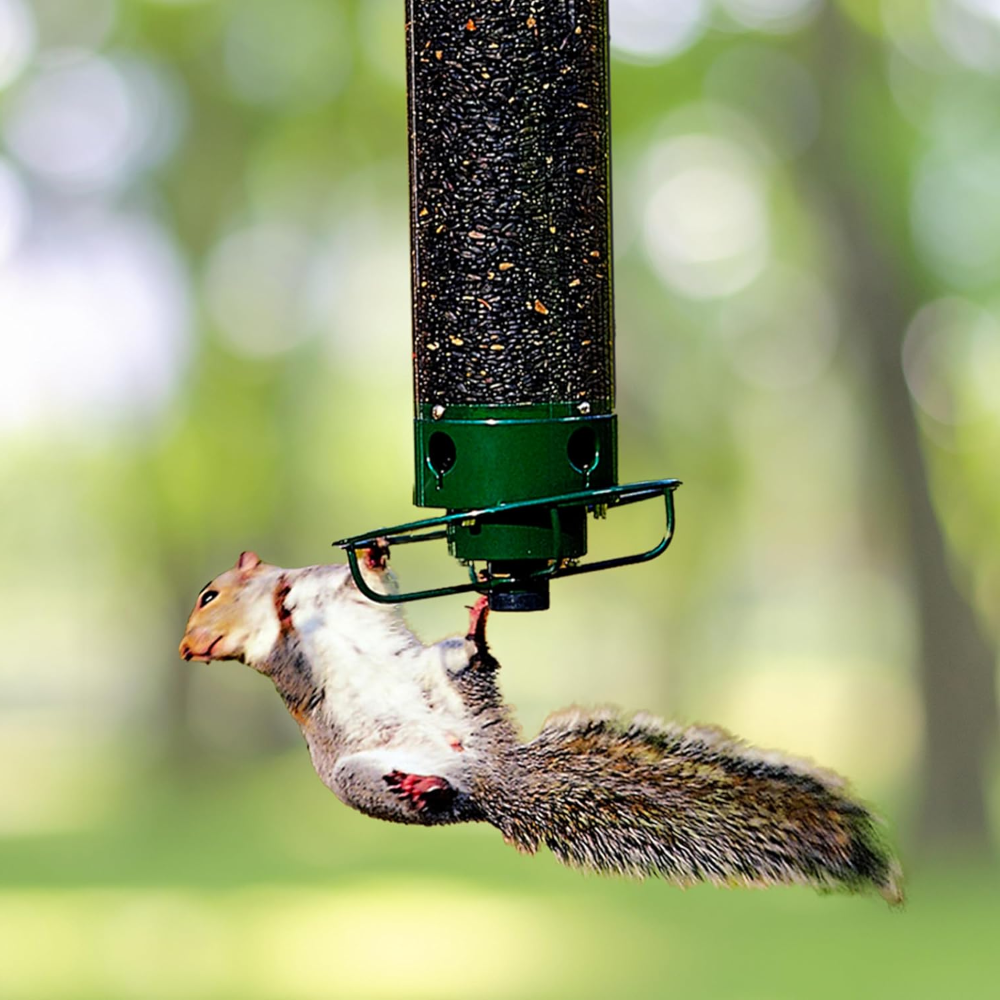 Comedero de pájaros metálico antia ardillas colgante de exterior para jardín, tipo tubo