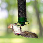 Comedero de pájaros metálico antia ardillas colgante de exterior para jardín, tipo tubo