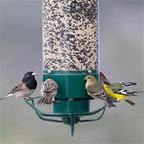 Comedero de pájaros metálico antia ardillas colgante de exterior para jardín, tipo tubo