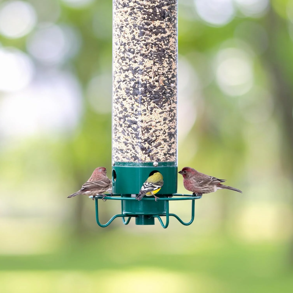 Comedero de pájaros metálico antia ardillas colgante de exterior para jardín, tipo tubo