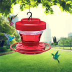 Comedero para colibríes a prueba de abejas con posadero - Capacidad 473 ml