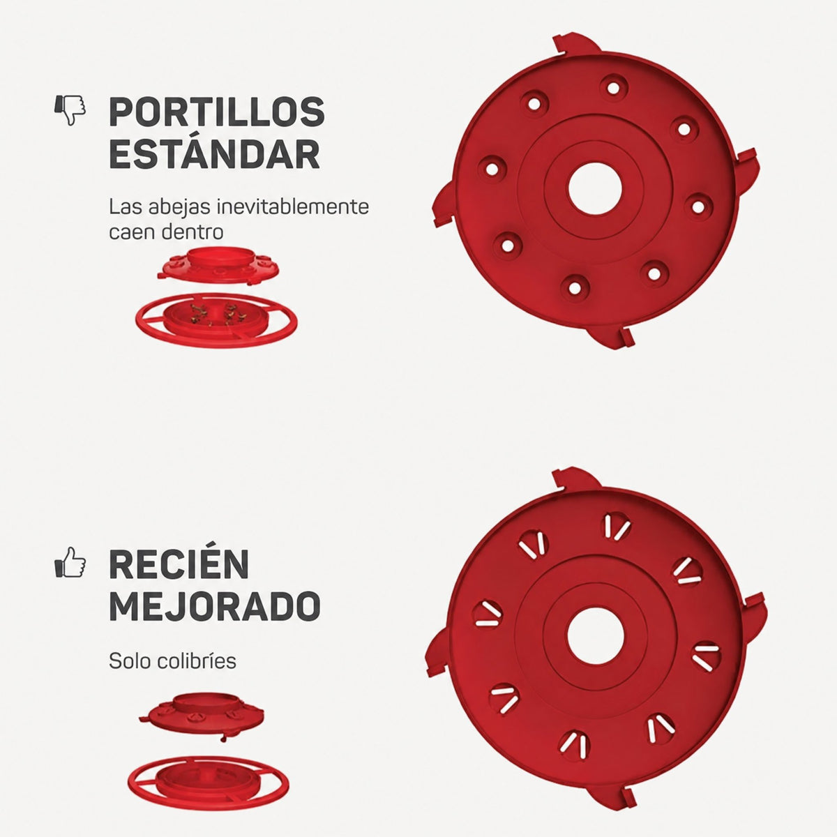 Comedero para colibríes a prueba de abejas con posadero - Capacidad 473 ml
