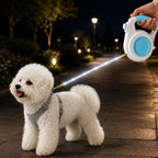 correa extensible para perros con luz recargable para paseos nocturnos - Ayuda a que los perros pequeños se mantengan vi