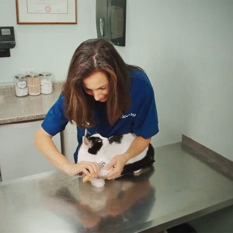 Cortaúñas para perros con luz de seguridad y sensor