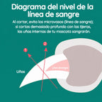 Cortaúñas para perros con luz de seguridad y sensor