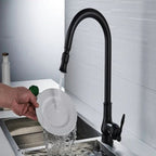 FLEXTAP – Grifo de cocina extraíble de estilo antiguo con caño alto para fregadero