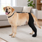Funda ajustable para pata trasera de perro con cobertura de pata Ayuda a limitar el lamido durante el descanso tras la c
