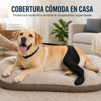 Funda ajustable para pata trasera de perro con cobertura de pata Ayuda a limitar el lamido durante el descanso tras la c
