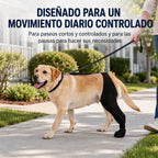 Funda ajustable para pata trasera de perro con cobertura de pata Ayuda a limitar el lamido durante el descanso tras la c