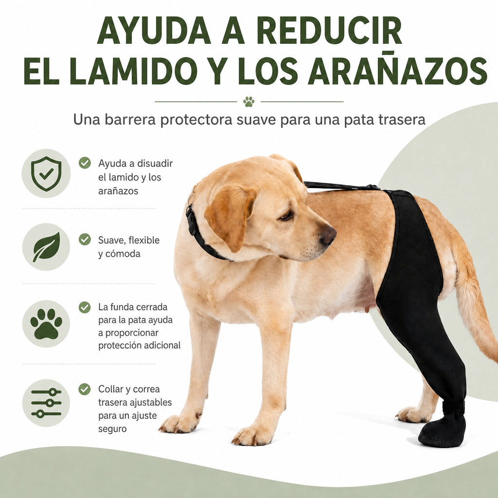 Funda ajustable para pata trasera de perro con cobertura de pata Ayuda a limitar el lamido durante el descanso tras la c