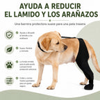 Funda ajustable para pata trasera de perro con cobertura de pata Ayuda a limitar el lamido durante el descanso tras la c