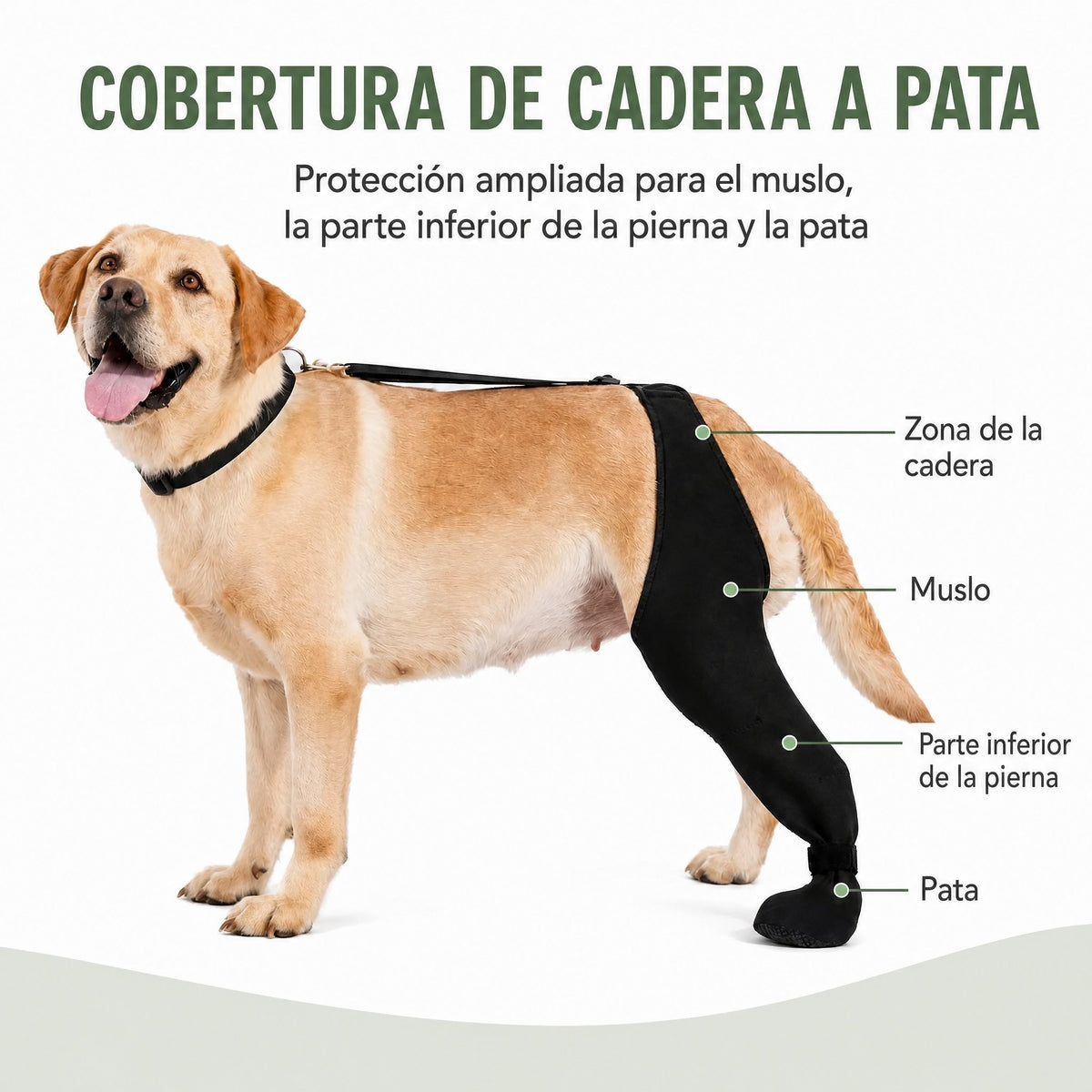 Funda ajustable para pata trasera de perro con cobertura de pata Ayuda a limitar el lamido durante el descanso tras la c